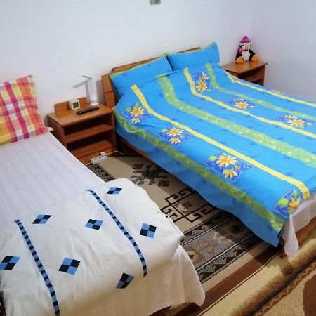 Rustic House Appartement Turnu Măgurele Buitenkant foto