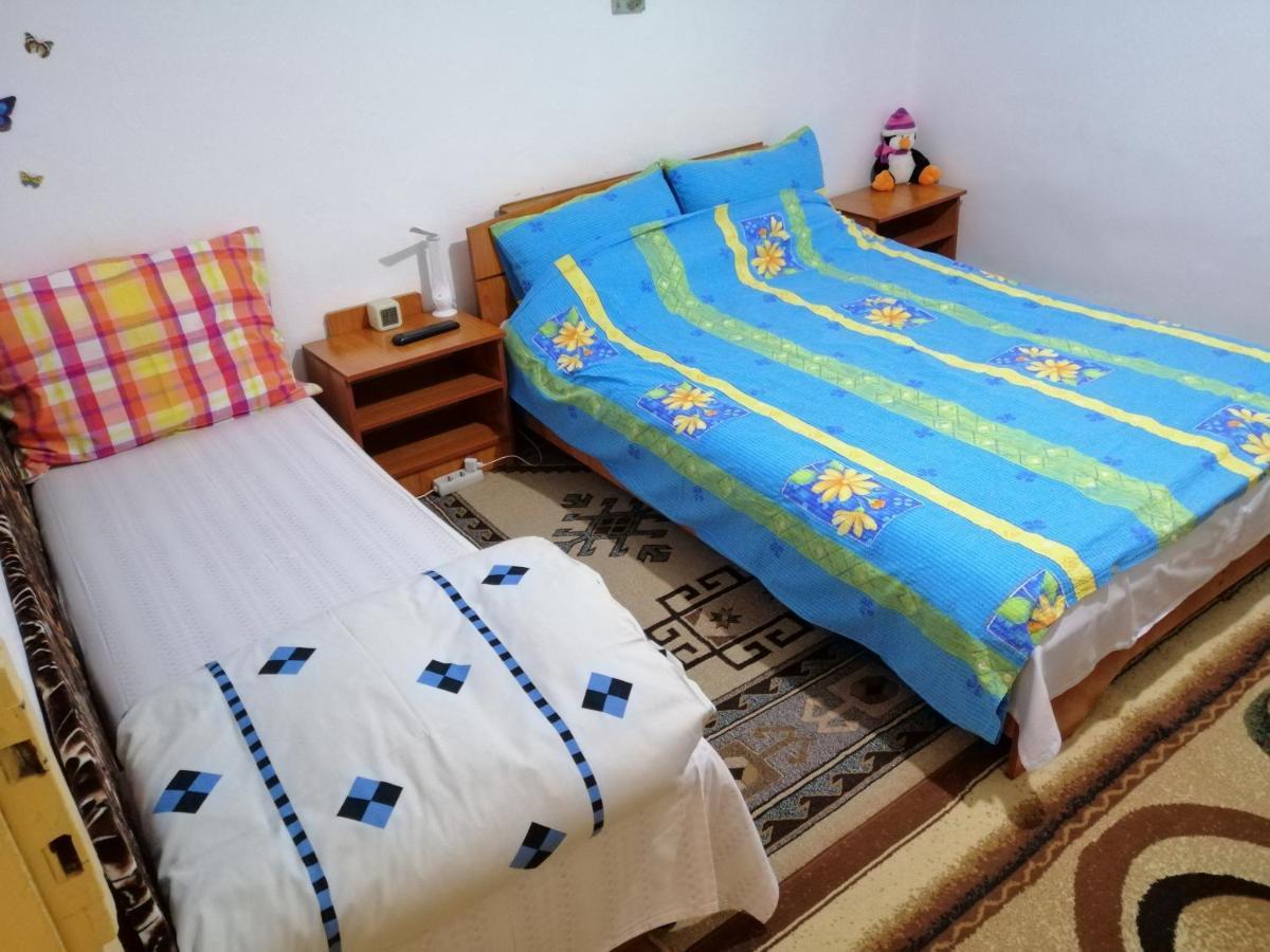 Rustic House Appartement Turnu Măgurele Buitenkant foto