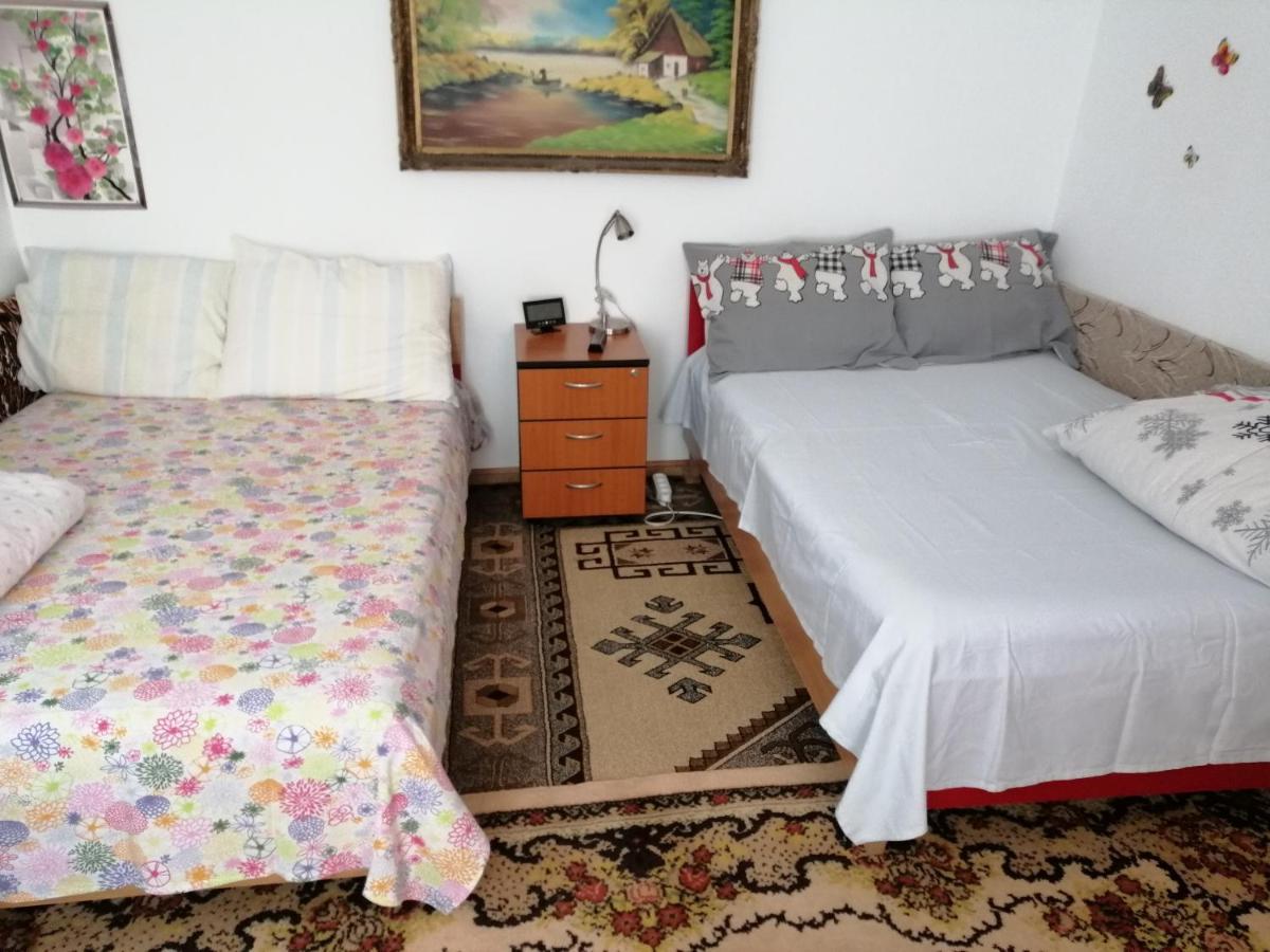 Rustic House Appartement Turnu Măgurele Buitenkant foto
